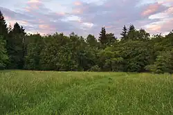 Západní část bývalé přírodní památky