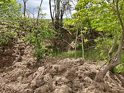 Bývalý lom ve Varhošti