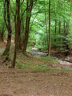 Vůznice poblíž zříceniny hrádku Jinčov