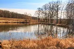 Dolní Běloveský rybníček