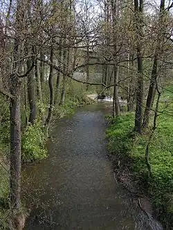 Břevnický potok nad ústím do řeky Sázavy