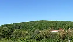 Březina (v pozadí)