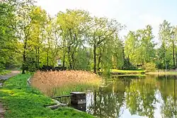 Březinský rybník u Klenovky