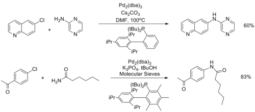 Heteoarylové a amidové substráty při Buchwaldově–Hartwigově aminaci