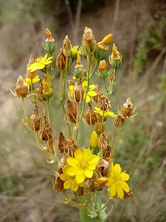 alternativní popis obrázku chybí