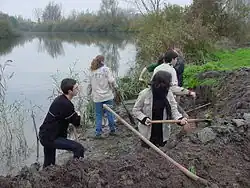 Umělé hloubení strmých břehů u vodních ploch napomáhá k zvýšení počtu hnízdících ptáků