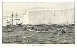 Kresba velrybářů na menších loďkách, jak veslují směrem od větší lodě v pozadí k ocasu velryby vyčnívajícího z moře. V pozadí lze vidět mohutnou ledovou kru