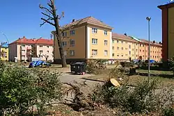 Typická zástavba čtvrti, v popředí stromy zničené tornádem