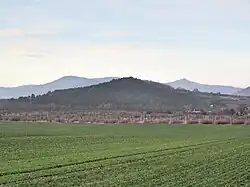 Baba u Děčan od jihu. V pozadí hrad Oltářík