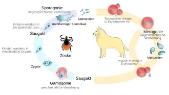 alternativní popis obrázku chybí