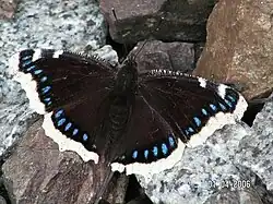 alternativní popis obrázku chybí