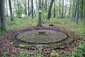 Poslední zachovaná odpalovací rampa pro Bachem Ba 349 Natter v lese Hasenholz.