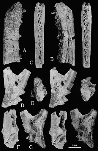 popis obrázku chybí