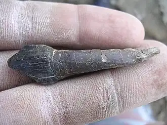 alternativní popis obrázku chybí