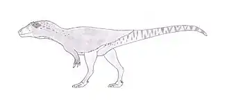 alternativní popis obrázku chybí