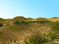 Tumuli na nekropoli Madinat Hamad 1