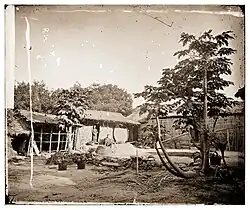 John Thomson: Baksa, asi 1871