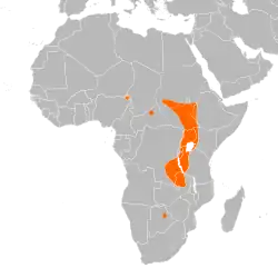 Areál rozšíření