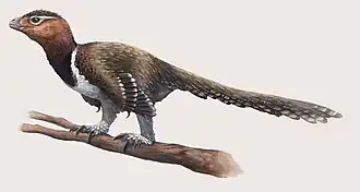 alternativní popis obrázku chybí