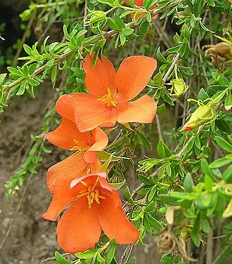 alternativní popis obrázku chybí