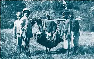 Skupina lidí stojí s uloveným tygrem pověšeným na tyči.