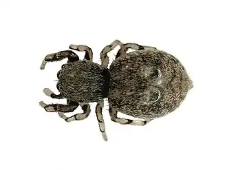 alternativní popis obrázku chybí