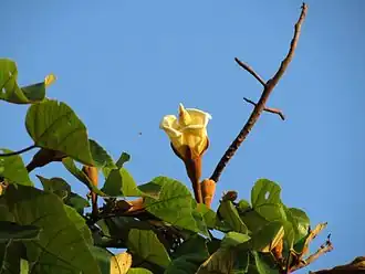 alternativní popis obrázku chybí