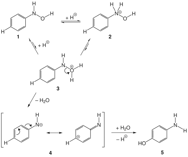 Mechanismus Bambergerova přesmyku
