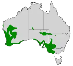 Areál rozšíření