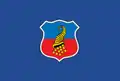 Copiapó – vlajka