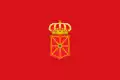 Samosprávná oblast Navarra – vlajka