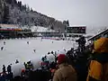Bandy na Asijských zimních hrách 2011