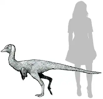 alternativní popis obrázku chybí