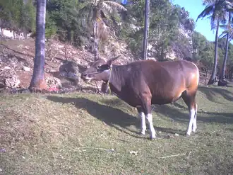 alternativní popis obrázku chybí