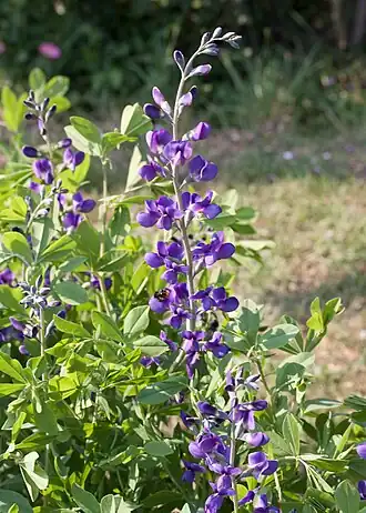 alternativní popis obrázku chybí