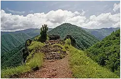 Baraniarky z vyhlídky na úbočí Sokolieho