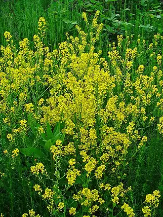 alternativní popis obrázku chybí