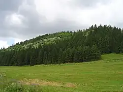 Barbolica od Vernáru