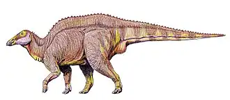 alternativní popis obrázku chybí