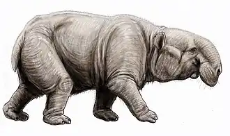 alternativní popis obrázku chybí