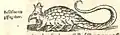 Bazilišek od Sebastiana Münstara (1544)