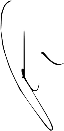 Bastian Schweinsteiger – podpis