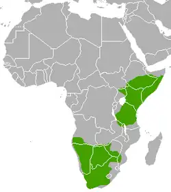 Areál rozšíření