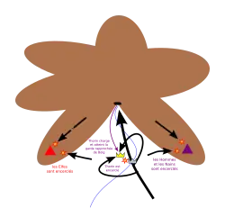 Výpad Thorina a jeho společníků proti Bolgově tělesné stráži