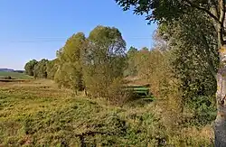 Údolí Hraničního potoka u Batelova