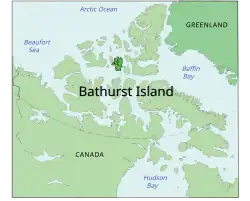 Mapa s vyznačeným Bathurstovým ostrovem