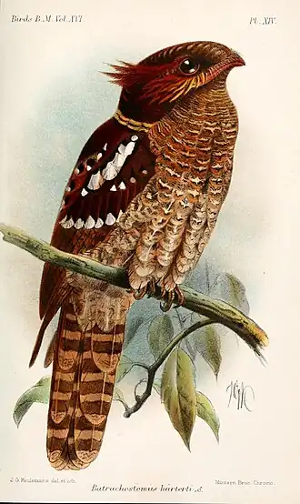 alternativní popis obrázku chybí