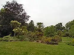 Subtropická zahrada