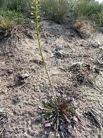 alternativní popis obrázku chybí