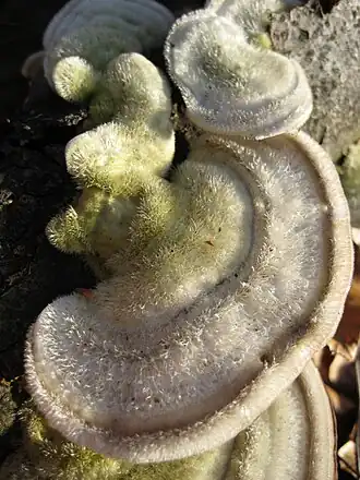 alternativní popis obrázku chybí